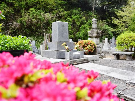 墓 植物|植木のあるお墓を建てたい。注意点やおすすめの樹種。